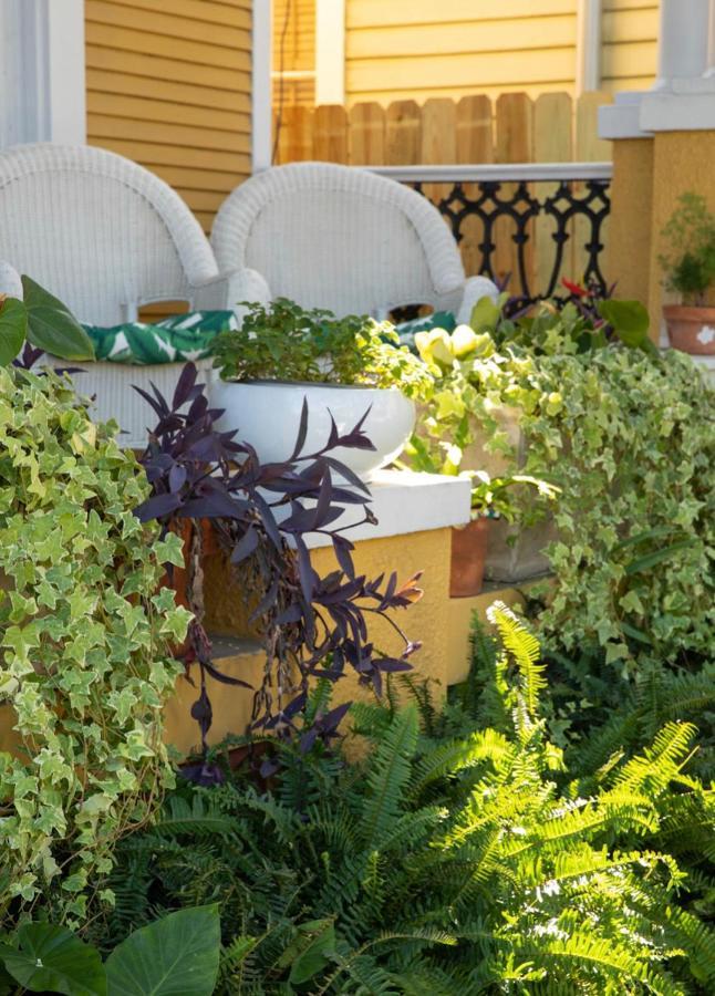 Auld Sweet Olive Bed And Breakfast Новий Орлеан Екстер'єр фото