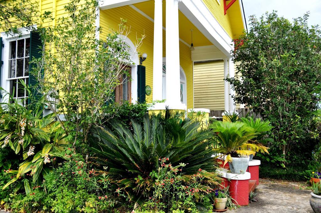 Auld Sweet Olive Bed And Breakfast Новий Орлеан Екстер'єр фото