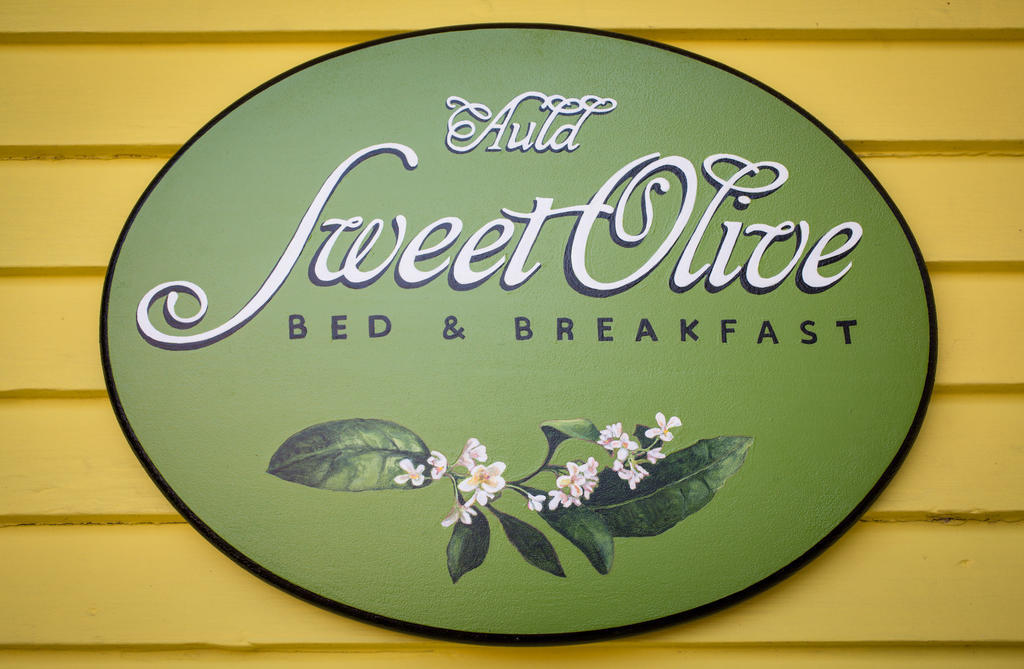 Auld Sweet Olive Bed And Breakfast Новий Орлеан Екстер'єр фото